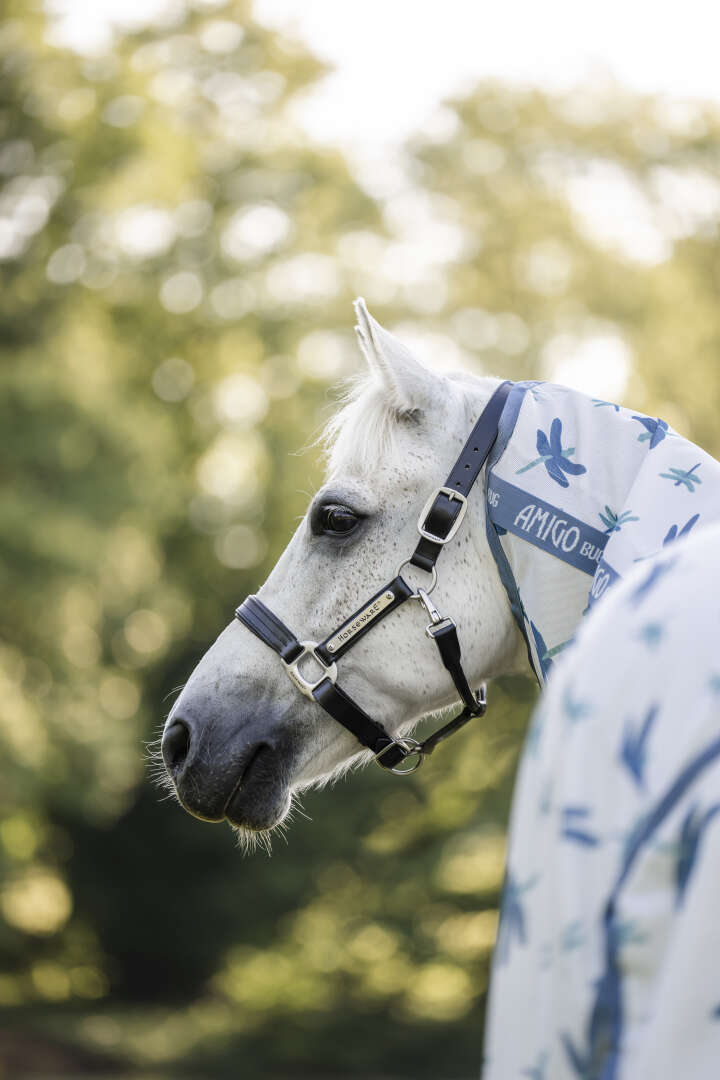 AMIGO Pony-Fliegendecke Bug Rug